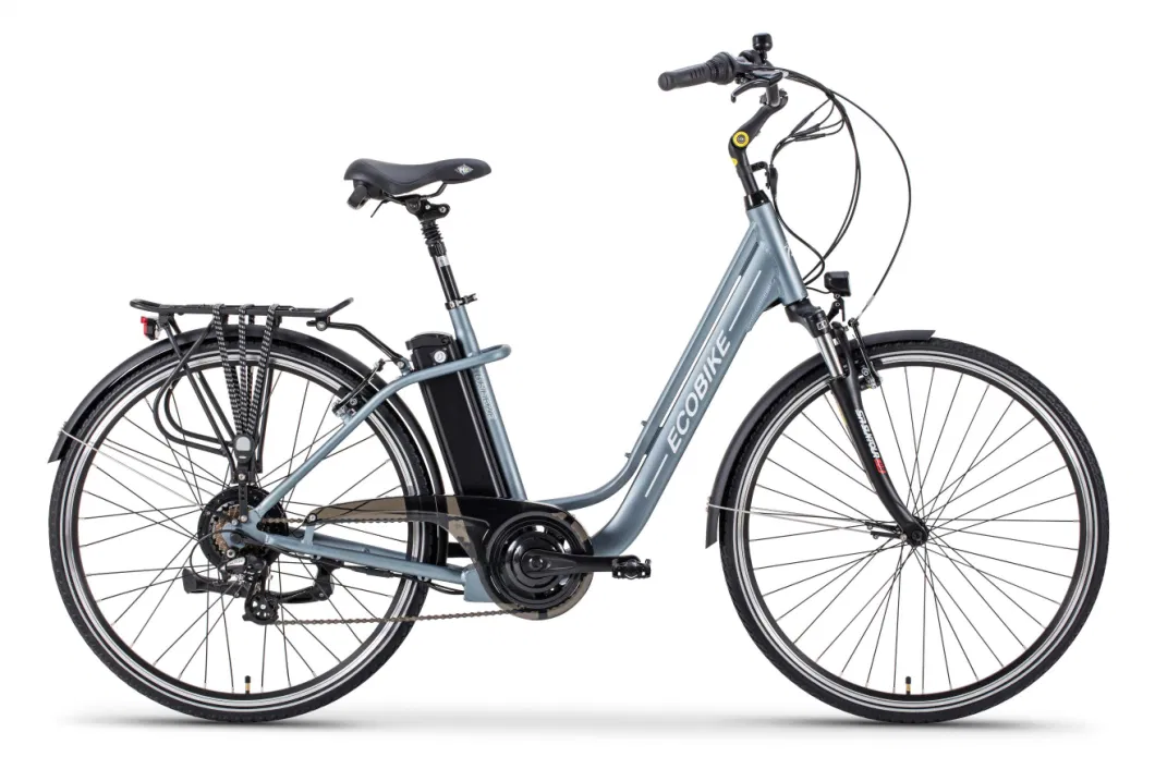 2019 Wholesale Cheap Lady Light Weight City E-Bike with Lithium Battery