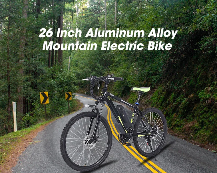 Hot Sell Portable Electric Bike Folding Electric Bicycle Adult Electric Bike 350W City Bike
