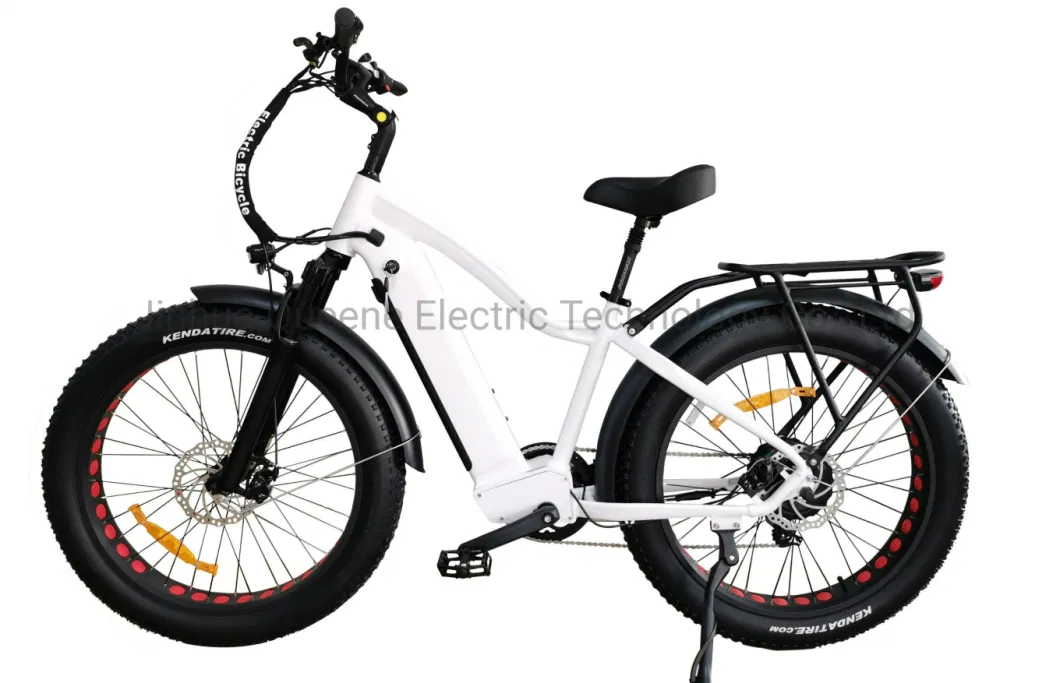 Queene Hot Sale 48V E-Bike Racing Ebike /Wholesale Cheap 1000watt E-Fat Meped Bikes/High Quality Easy Ride Fat Tire Electric Bike