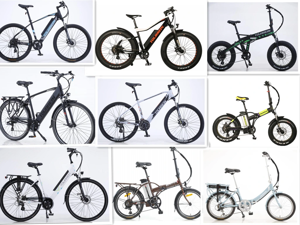 Mic Wholesaler City Women Aluminum Alloy 700c*50c E-Bike Electric Bicycle 36V or 48V 250W or 750W Fat Tire Electric Bike