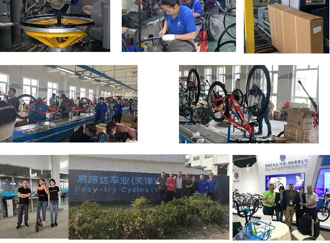 Hot High Quality E-Cycle China Manufacturer Customized 10ah Electric Bicycle 36V/48V 250W/350W/500W Ebike