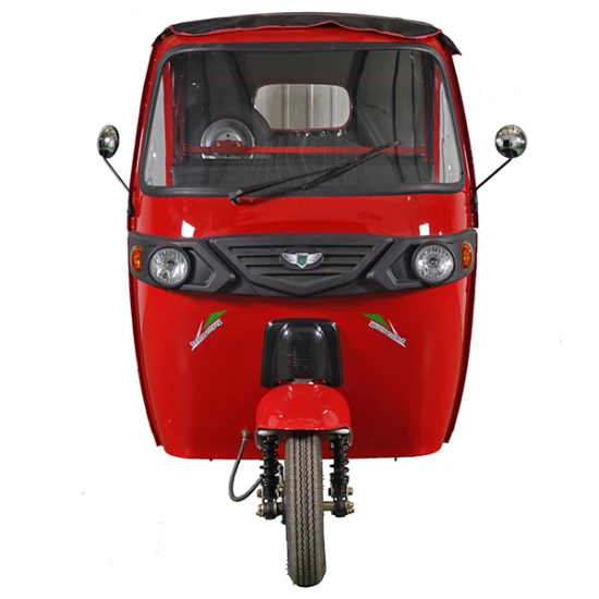 CCC Certificated Green Energy Battery Operated Adult 3 Wheels Leisure Electric Tricycle with 4000W Motor Vehicle