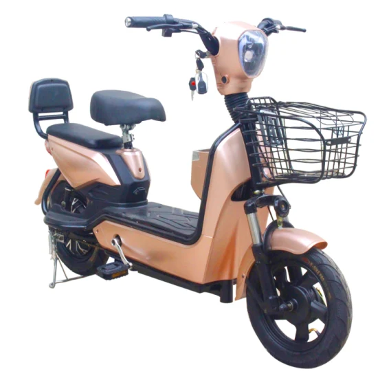 2023 Wholesale Cheap Best Mini Electric Powered Bike for Sale