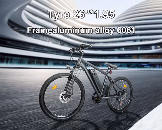 48V 26 Inch Men Electric Bike Road Bicycle Fat Electric City Bike Adults