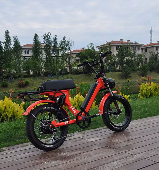 Bafang Rear Brushless Motor Mountain Electric Bicycle